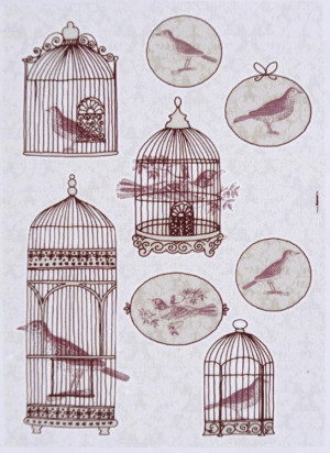 Sticker Bird Cage 50X70